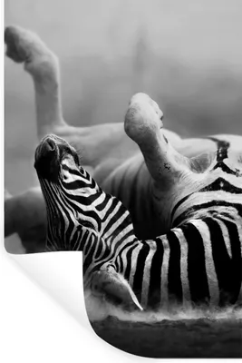 Produktbild von MuchoWow® Wandtattoo Wandsticker Wandaufkleber Zebra - Tiere - Schwarz - Weiß 80x120 cm Selbstklebend und Repositionierbar - Repositionierbar - Wasser abweisend