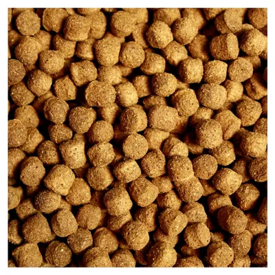 Produktbild von Koifutter Schwimmfutter Wachstumsfutter für Koi und Teichfische leicht verdauliches Koi-Fischfutter mit arktischen Rohstoffen 6mm 10kg