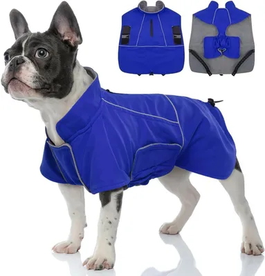 Imagen del producto de Chaqueta impermeable para perros con forro reflectante azul