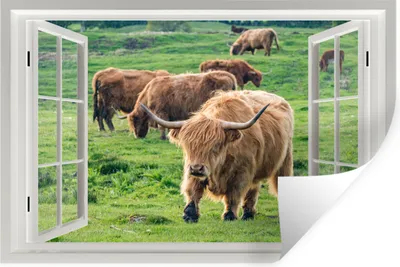 Produktbild von MuchoWow® - Wierderverwendbar - Selbstklebend