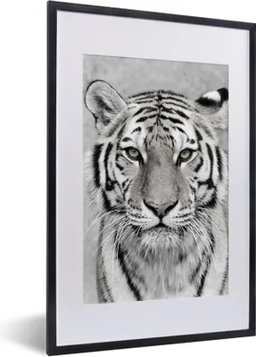 Produktbild von MuchoWow® Gerahmtes Poster Tiger - Natur - Schwarz - Weiß 40x60 cm - Poster mit Schwarzem Bilderrahmen Wandposter Rahmen Foto Bilder - Poster in Rahmen