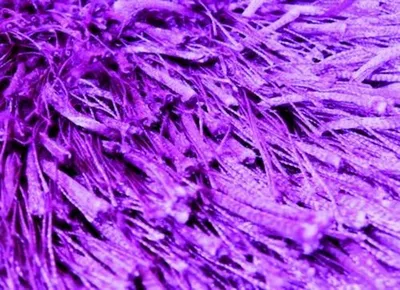 Zdjęcie produktu dla Shaggy Shrubs 04 purple (200x300 cm)