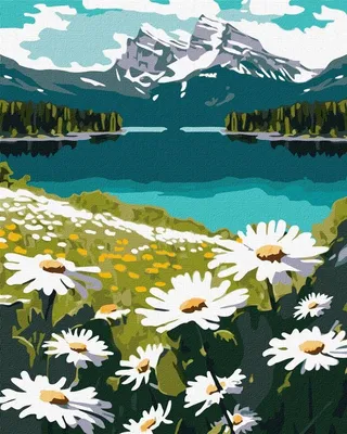 Immagine prodotto di Quadro numerico - Margherite in fiore 40x50cm