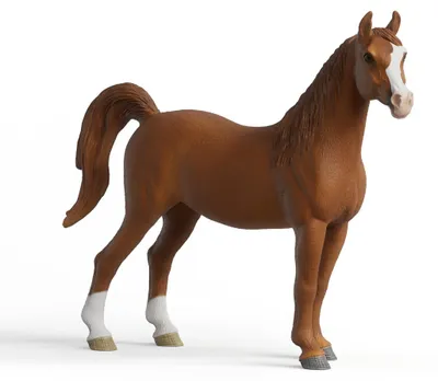 Immagine prodotto di Schleich 72262, 18 anni, marrone