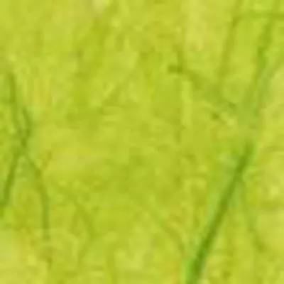 Zdjęcie produktu dla Strohseide 0,7x1,5m 25 g/qm limone