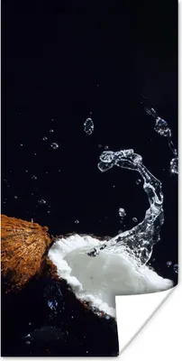 Produktbild von MuchoWow® Poster Kokosnuss - Stillleben - Wasser - Schwarz - Frucht 40x80 cm - Dekoration