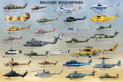 Produktbild von Poster - Educational - Bildung - Military Helicopters Hubschrauber