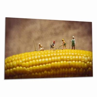 Produktbild von Wallario Herdabdeckplatte aus Glas, Größe 90 x 52 cm 1-teilig, Motiv Lustige Bauernfiguren auf einem Maiskolben beim Arbeiten