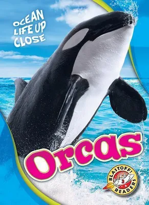 Produktbild von Orcas