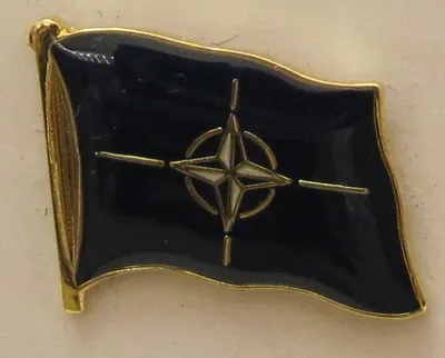 Produktbild von NATO Pin Anstecker Flagge Fahne
