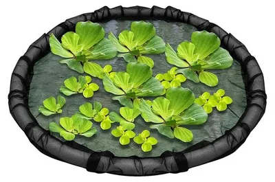 Produktbild von Schwimmender Pflanzenschutzring 45cm, Teich Pflanzenschutz Netz Insel, Fischschutz Pflanzen Insel für Teich, Wasserpflanzen Schutz schwimmend