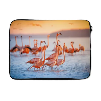 Produktbild von MuchoWow® Laptop Hülle 13 Zoll Flamingo - Tiere - Wasser - Rosa Laptoptasche - Laptophülle - Sleeve - Rundumschutz