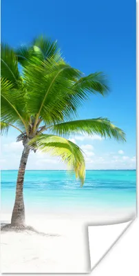 Produktbild von MuchoWow® Poster Palme - Strand - Meer - Sommer 20x40 cm - Plakat - Foto