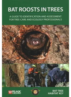 Image de Bat Roosts Trees: Guide Identification