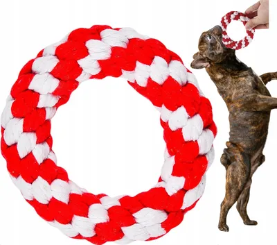 Produktbild von PETSTORY Geflochtenes Frisbee Spielzeug für Tiere