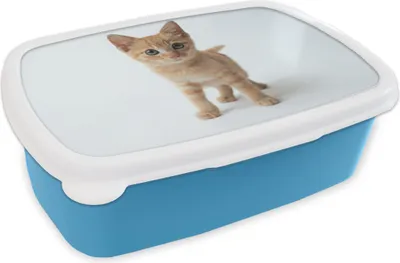 Obrázok produktu pre KitchenYeah® Lunchbox Snack Box 17x11 cm Cat - Red - Kitten - Girl - Kids - Children - Child - Child Snack Box - Lunch - Plastic - Bread Tin - Sandwich Box - Lunchbox for Kids