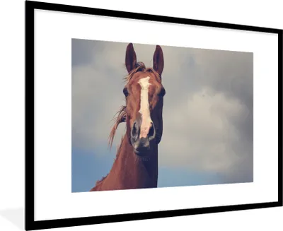 Produktbild von MuchoWow® Gerahmtes Poster Pferd - Luft - Blau 90x60 cm - Poster mit Schwarzem Bilderrahmen Wandposter Rahmen Foto Bilder - Wanddekoration - Fotos