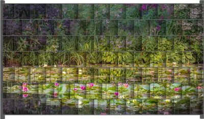 Produktbild von Wallario Zaunsichtschutz mit Motiv Blühender Seerosenteppich für Ein- und Doppelstabmatten Zäune in der Größe 250 x 140 cm