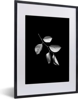 Produktbild von MuchoWow® Gerahmtes Poster Zweig mit Blättern auf schwarzem Hintergrund - schwarz und weiß 30x40 cm - Poster mit Schwarzem Bilderrahmen Wandposter Rahmen Foto Bilder - Wandposter Schlafzimmer