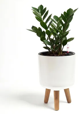 Produktbild von Selbstbewässernder Pflanzenpot mit Holzständer und Wasserstandsanzeiger