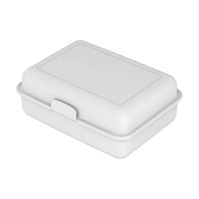 Image de Boîte à lunch "School-Box" grande - Boîte à goûter durable en canne à sucre - Boîte à pain idéale pour les enfants et les adultes - Blanc