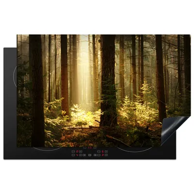 Produktbild von KitchenYeah© Herdabdeckplatte Wald - Bäume - Sonne , 81x52cm, Küche Deko, Glaskeramikkochfeld Herdabdeckung, Abdeckplatte fùr Kochfeld