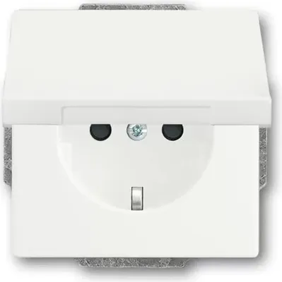 Produktbild von SCHUKO® Steckdosen-Einsatz, mit Klappdeckel 20 EUKBR-884 studioweiß matt