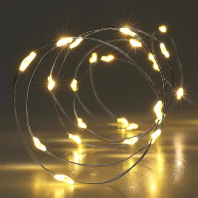 Obrázek produktu pro Světelný řetěz LED, stříbrný drát, 100 LED diod, teplá bílá, na baterie, časovač