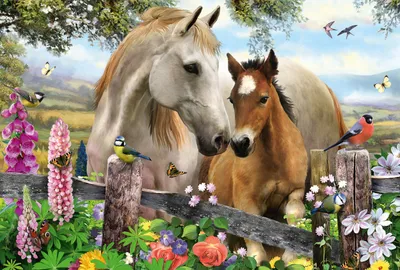Image de Schmidt Jeux Schmidt Jeux 56421 Puzzle Jument et poulain 150 pièces