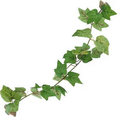 Immagine prodotto di Pianta magnetica Repti-Zoo - pianta artificiale per magneti 63cm Repti-Zoo