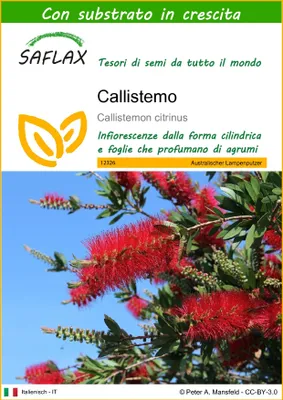 Immagine prodotto di SAFLAX  - Callistemo - 400 semi - Con substrato - Callistemon
