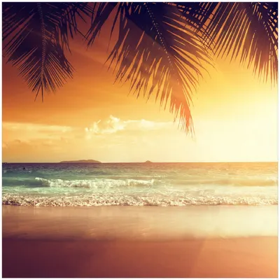Produktbild von Wallario Memoboard Magnettafel aus Glas, Größe 50 x 50 cm, Motiv Sonnenuntergang am Strand in der Karibik