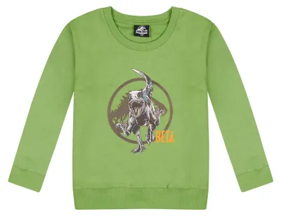 Produktbild von Jurassic World Beta Dino Kinder Jungen Sweatshirt Pullover Pulli Sweater , Größe:128