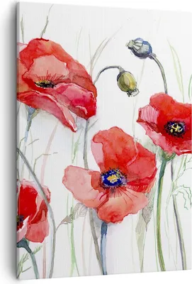 Produktbild von Bild auf Leinwand - Leinwandbild - Einteilig - Blume Mohn Wiese - 50x70cm - Wand Bild - Wanddeko - Wandbilder - Leinwanddruck - Kunstdruck - Wanddekoration - Leinwand bilder - Wandbild - PA50x70-3584