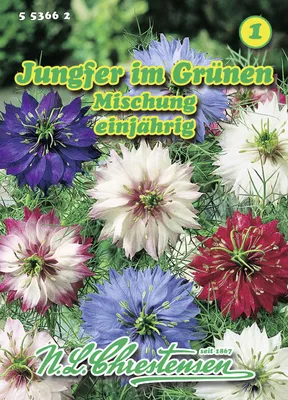 Artikelbild 1 von 'Jungfer im Grünen Mischung' aus der Kategorie Jungfer im Grünen Samen