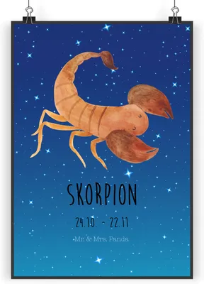 Produktbild von Mr. & Mrs. Panda Bild Sternzeichen Skorpion Classic DIN A3 - Sternenhimmel Blau - Geschenk, drucke, Oktober, wanddeko, Geburtstag, Plakat, November, Skorpione, Kunstdruck