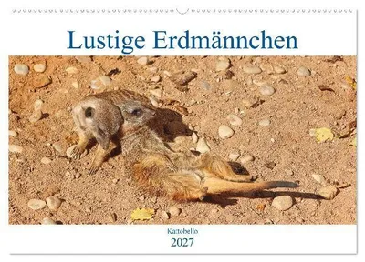Produktbild von Lustige Erdmännchen (Wandkalender 2027 DIN A2 quer), CALVENDO Monatskalender