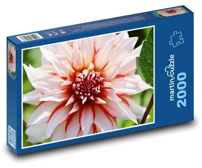 Zdjęcie produktu dla martinpuzzle - Puzzle 2000 - Jiřina - czerwony, biały