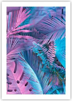 Produktbild von Poster - Poster ohne Rahmen - Blätter Rosa Blau - 50x70 cm - Wand Bild - Wanddeko - Wandbilder - Kunstposter - Wandposter - Bilder - Kunstdruck - Wanddekoration - Wandbild - P2XPA50x70-4401