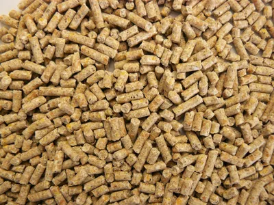 Produktbild von deuka G/E-FUTTER gekörnt 25 kg