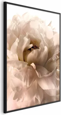 Produktbild von Posterpapier Poster - Soft Petals 21x30 cm Blumen b-C-0500-ao-a