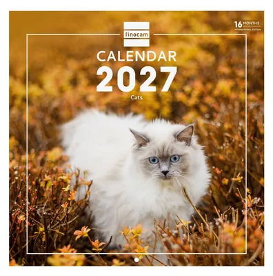 Immagine prodotto di Calendario da parete Finocam 2027 | Immagini: Gatti