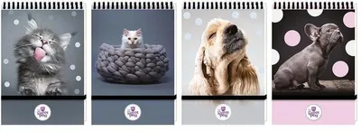 Obrázek produktu pro Beniamin Kołonotes A6 96K - Notatnik w kratkę z gumką, The Sweet Pets
