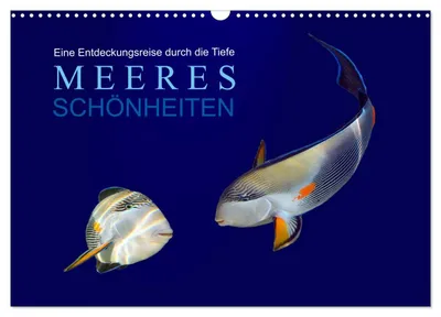 Produktbild von Meeres Schönheiten (Wandkalender 2027 DIN A3 quer), CALVENDO Monatskalender