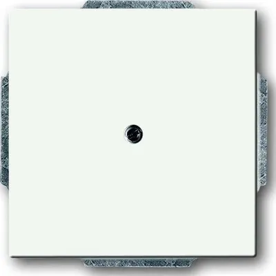 Produktbild von BUSCH JAEGER 1742-884 - Weiß - Metall - Kunststoff - Busch-Jaeger - Matte - 63 mm - 63 mm