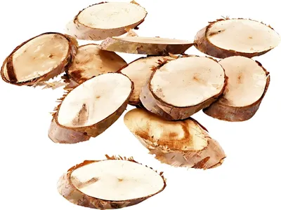 Obrázek produktu pro KNORR prandell 218008750