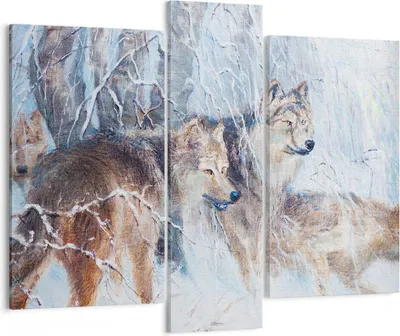 Produktbild von Bild auf Leinwand - Leinwandbild - Wolf Tier Wald - 95x80cm - Wand Bild - Wanddeko - Wandbilder - Leinwanddruck - Bilder - Kunstdruck - Wanddekoration - Leinwand bilder - Wandkunst - CB95x80-3770