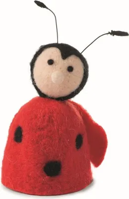 A felt ladybug egg warmer.