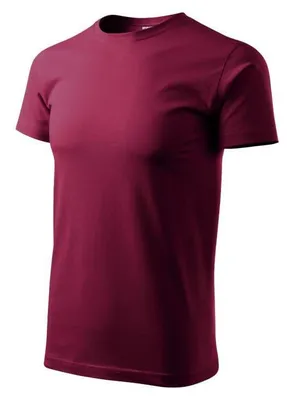 Image de Malfini - T-shirt « Basic » pour homme PP9299 (4XL) (rouge)