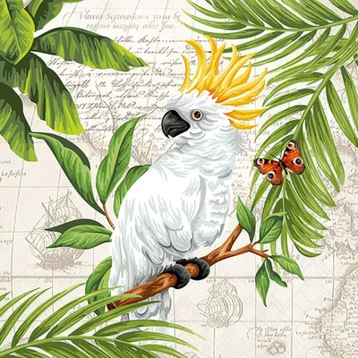 Produktbild von RP 20 Servietten Cockatoo - Kakadu im Dschungel 33x33cm